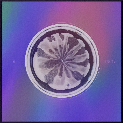 [枚数限定][限定盤]NEW DNA(X ver.)/XG[CD]【返品種別A】 K-POP・アジア