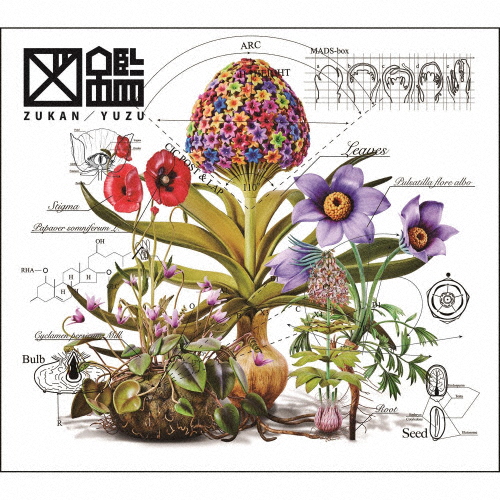 [枚数限定][限定盤]図鑑(初回生産限定盤)【CD+ライブDVD】/ゆず[CD+DVD]【返品種別A】