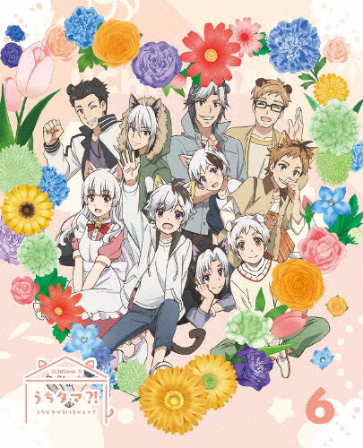 [枚数限定][限定版]うちタマ?! 〜うちのタマ知りませんか?〜6(完全生産限定版)【DVD】/アニメーション[DVD]【返品種別A】