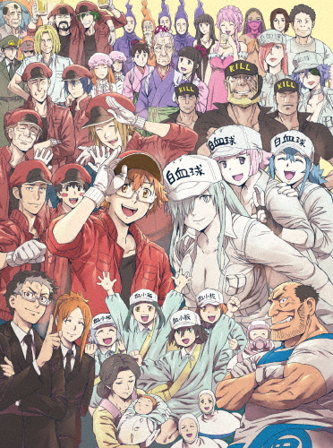 [枚数限定][限定版]はたらく細胞BLACK 7(完全生産限定版)/アニメーション[DVD]【返品種別A】
