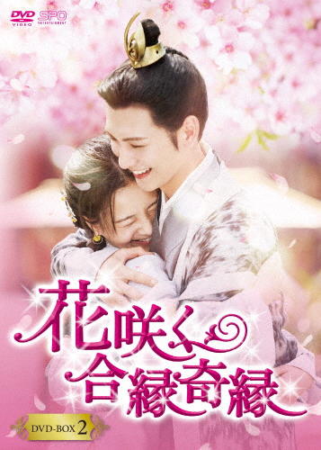 花咲く合縁奇縁 DVD-BOX2/リー・ゲンシー[DVD]【返品種別A】