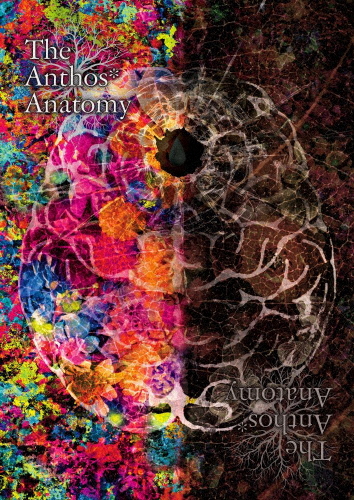 華Doll* The Anthos* Anatomy/Anthos*[DVD]【返品種別A】