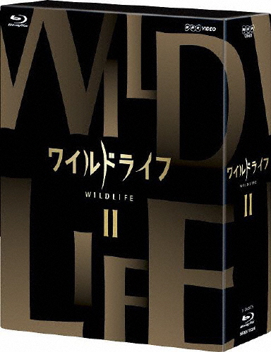 ワイルドライフ ブルーレイBOXII/ドキュメント[Blu-ray]【返品種別A】