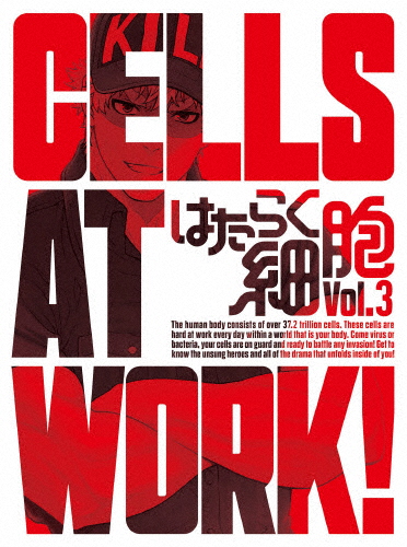 [枚数限定][限定版]はたらく細胞 3(完全生産限定版)/アニメーション[Blu-ray]【返品種別A】