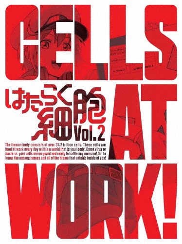 [枚数限定][限定版]はたらく細胞 2(完全生産限定版)/アニメーション[DVD]【返品種別A】