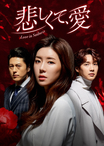 悲しくて、愛 DVD-BOX3/チ・ヒョヌ[DVD]【返品種別A】