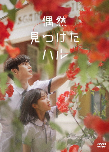 偶然見つけたハル DVD-BOX2/キム・ヘユン,ロウン,イ・ジェウク[DVD]【返品種別A】