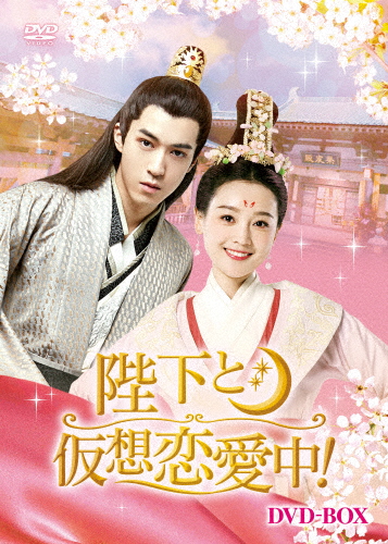 華麗なる2人-ミセスコップ2- DVD-BOX I [DVD]