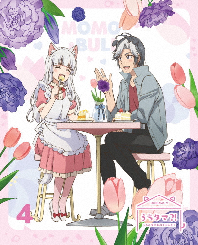 [枚数限定][限定版]うちタマ?! 〜うちのタマ知りませんか?〜4(完全生産限定版)【DVD】/アニメーション[DVD]【返品種別A】