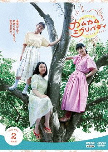 年代順の継続テレビ受像機人情本 カムカムエヴリバディ 完膚無き迄に版 ヴィデオディスク BOX2/上白石萌音[ヴィデオディスク]【返品カテゴリー化A】
