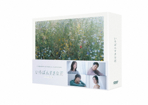 [先着特典付]いちばんすきな花 -ディレクターズカット版- DVD-BOX/多部未華子,松下洸平,今田美桜,神尾楓珠[DVD]【返品種別A】 16,474円