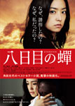 八日目の蝉 特別版/井上真央[Blu-ray]【返品種別A】