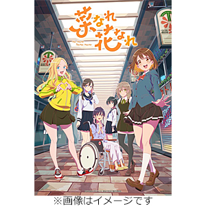 菜なれ花なれ Blu-ray 第3巻/アニメーション[Blu-ray]【返品種別A】 8,341円
