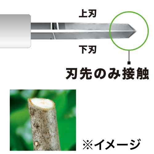 マキタ 充電式ポールヘッジトリマ (18VバッテリーBL1860B・充電器DC18RF付き) 500mm MUN500WDRG返品種別B_2