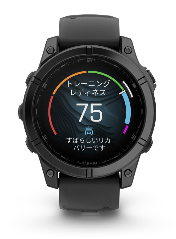 ガーミン fenix E 47mm Slate Gray Steel / Black　【Suica対応】スマートウォッチ 010-03025-12[0100302512] 返品種別A_7