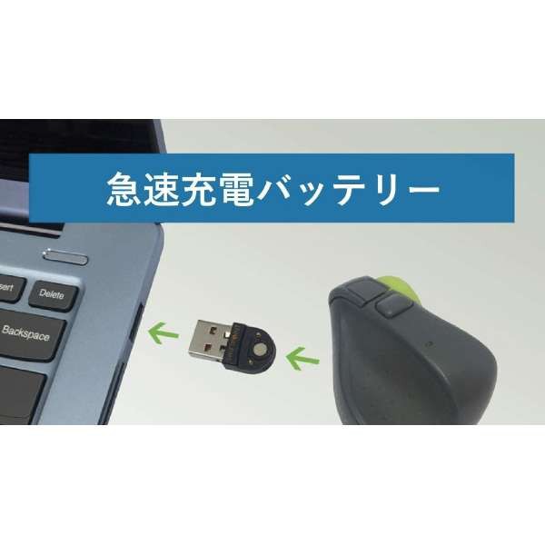 Swiftpoint SM601 超小型 Bluetooth マウス＆ポインター（グレー/ライムグリーン）TRACKPOINT[SM601]  返品種別A｜au PAY マーケット