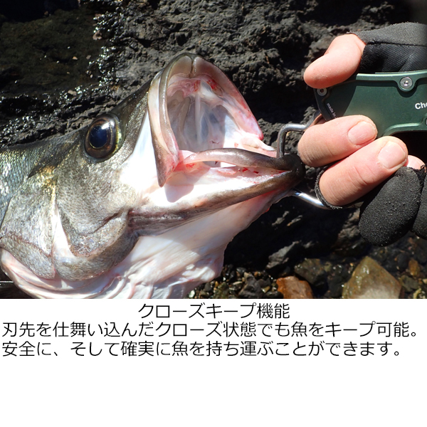 昌栄 566-1 Landing Gaff LG-160 (ブルーグレーポリッシュ)SIYOUEI