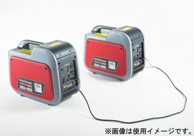 DREAM POWER EIGG-600D カセットボンベ式インバーター式発電機 (発電機のみ/ガスボンベ別売)ドリームパワー[EIGG600D]  返品種別B｜au PAY マーケット