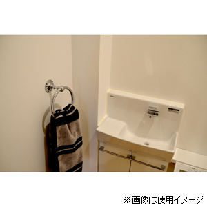 ゴーリキアイランド 640815 タオルリング SB CRGORIKI ISLAND[640815GORIKIISLAND] 返品種別B