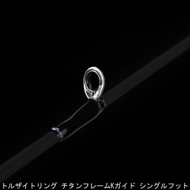 天龍 ホライゾン プログレッシブ 6.6ft M 1ピース ベイト MAX200g HPG66B-M返品種別A