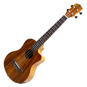 S.Yairi（ヤイリ） YU-T-01KEゲンDVDセツト エレクトリックテナーウクレレDVD＋弦セットUkulele Series[YUT01KEゲンDVDセツト] 返品種別A_1