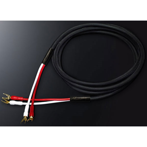 ❤️ニコンNikon D60❤️iPhone転送❤️高性能レンズ付❤️