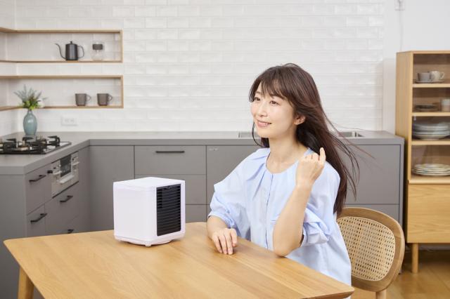 ショップジャパン CCH8WHWS 冷風扇（ホワイト）Shop Japan ここひえ8 COCOHIE R8[CCH8WHWS] 返品種別A_15