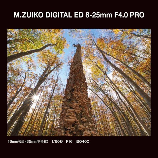 OM SYSTEM ED8-25MMF4.0PRO_OM M.ZUIKO DIGITAL ED 8-25mm F4.0 PRO※マイクロフォーサーズ用レンズ[ED825MMF40PROOM] 返品種別A_10