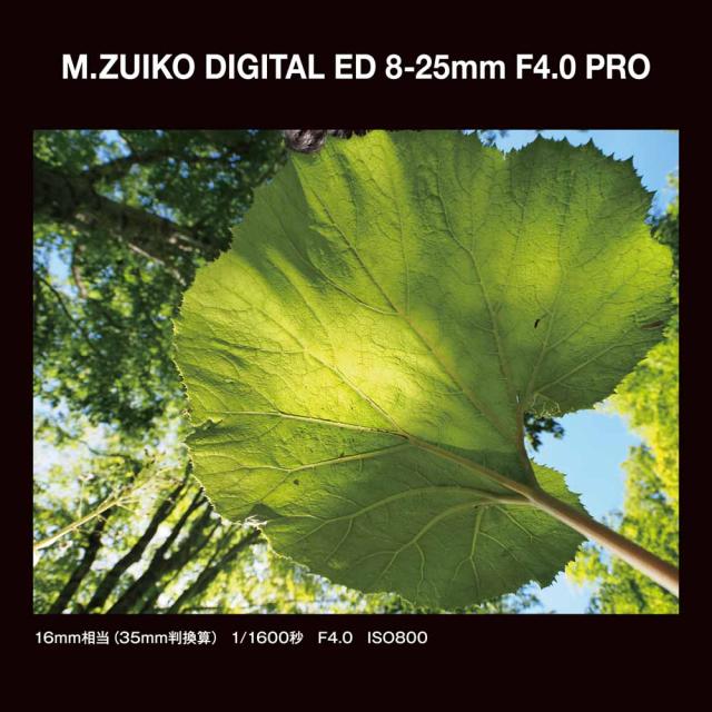 OM SYSTEM ED8-25MMF4.0PRO_OM M.ZUIKO DIGITAL ED 8-25mm F4.0 PRO※マイクロフォーサーズ用レンズ[ED825MMF40PROOM] 返品種別A_13