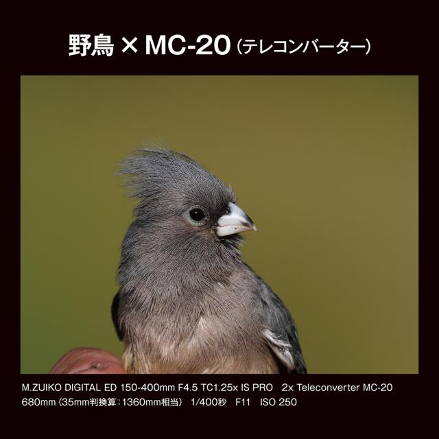 OM SYSTEM MC-20_OM テレコンバーター M.ZUIKO DIGITAL 2x「MC-20」Teleconverter[MC20OM] 返品種別A_8