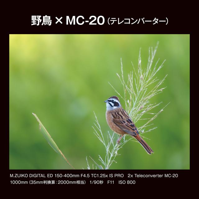 OM SYSTEM MC-20_OM テレコンバーター M.ZUIKO DIGITAL 2x「MC-20」Teleconverter[MC20OM] 返品種別A_9