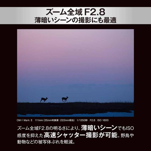 OM SYSTEM ED50-200MMF2.8ISPRO M.ZUIKO DIGITAL ED 50-200mm F2.8 IS PRO[ED50200MMF28ISPRO] 返品種別B_5