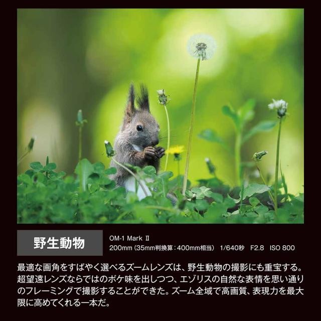 OM SYSTEM ED50-200MMF2.8ISPRO M.ZUIKO DIGITAL ED 50-200mm F2.8 IS PRO[ED50200MMF28ISPRO] 返品種別B_13