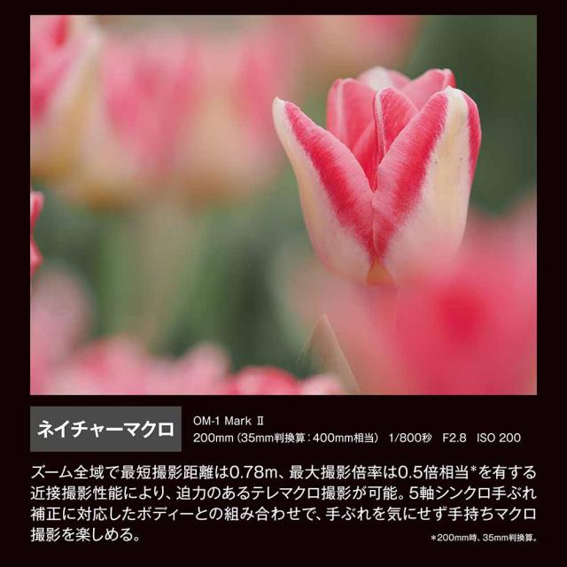 OM SYSTEM ED50-200MMF2.8ISPRO M.ZUIKO DIGITAL ED 50-200mm F2.8 IS PRO[ED50200MMF28ISPRO] 返品種別B_14