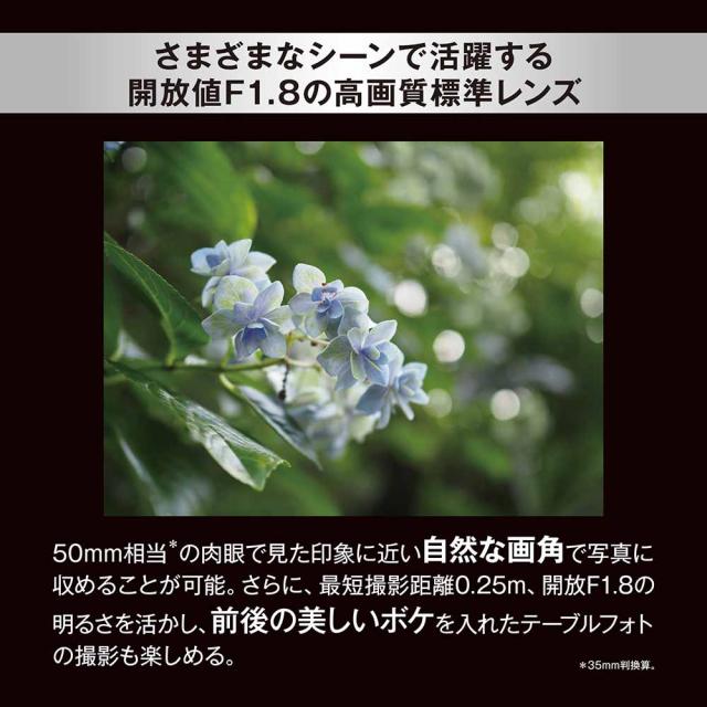 OM SYSTEM 25MMF1.8II M.ZUIKO DIGITAL 25mm F1.8 II※マイクロフォーサーズ用レンズ[25MMF18II] 返品種別A_2