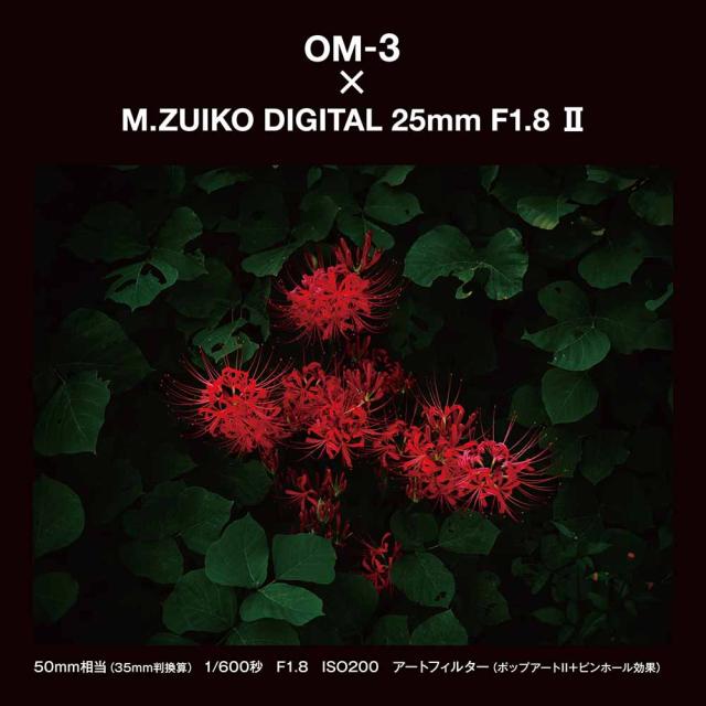 OM SYSTEM 25MMF1.8II M.ZUIKO DIGITAL 25mm F1.8 II※マイクロフォーサーズ用レンズ[25MMF18II] 返品種別A_7