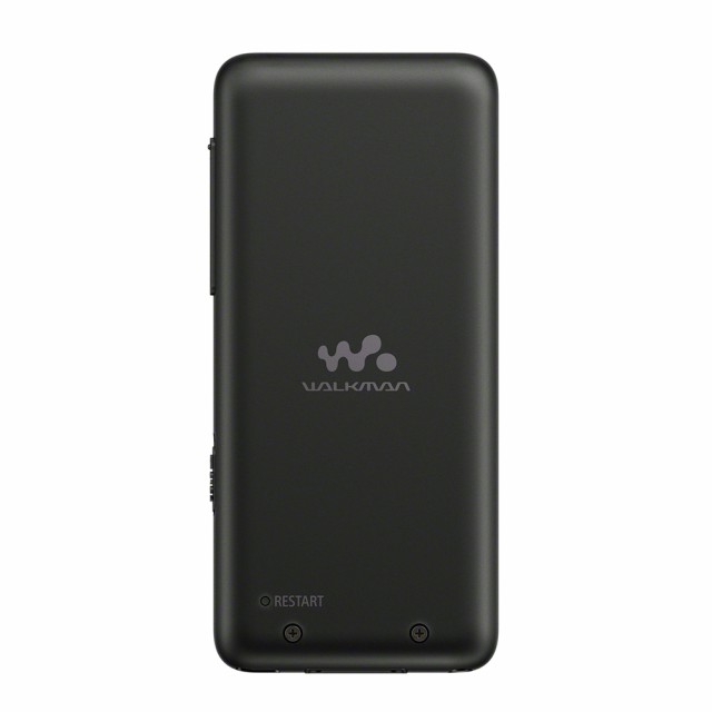 ＷＡＬＫＭＡＮ　Ｓ３１０シリーズ（１６ＧＢ）　ＮＷ−Ｓ３１５　ＰＣ