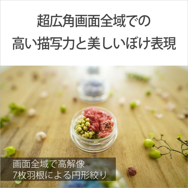 ソニー SEL11F18 E 11mm F1.8※Eマウント用レンズ（APS-Cサイズミラーレス用）[SEL11F18] 返品種別A_3