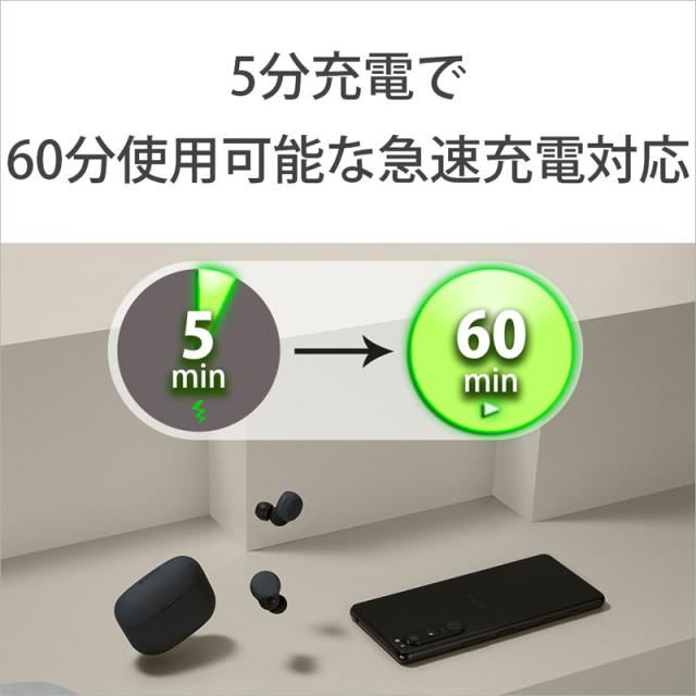 ソニー ノイズキャンセリング機能搭載完全ワイヤレス Bluetoothイヤホン（ブラック） WF-LS900NB返品種別A_11