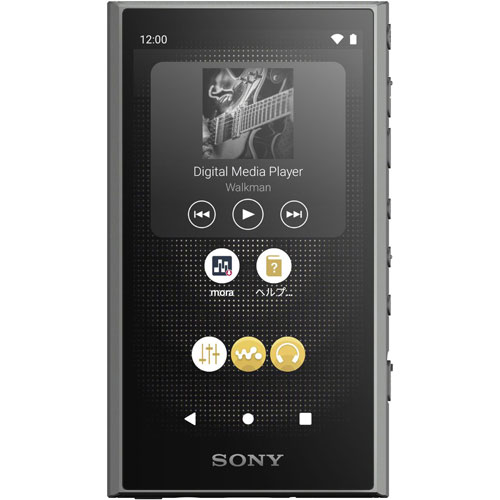 ウォークマン A300シリーズ 32GB（グレー） NW-A306 ソニー NW-A306-H ウォークマン A300シリーズ 32GB（グレー