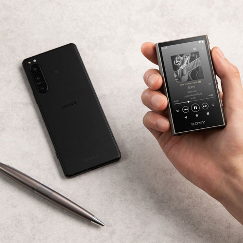 SONY NW-A300シリーズ　NW306H 32GB グレー SONY NW-A300シリーズ NW306H 32GB グレー