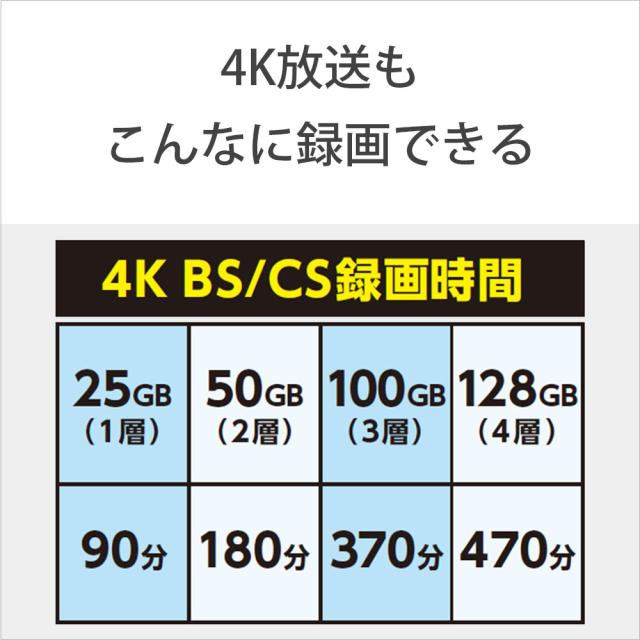 ソニー 20BNE3VEPS2 2倍速対応BD-RE XL 20枚パック 100GB ホワイト 