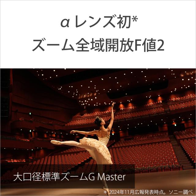 ソニー SEL2870GM FE 28-70mm F2 GM※Eマウント用レンズ（フルサイズミラーレス対応）[SEL2870GM] 返品種別A_2
