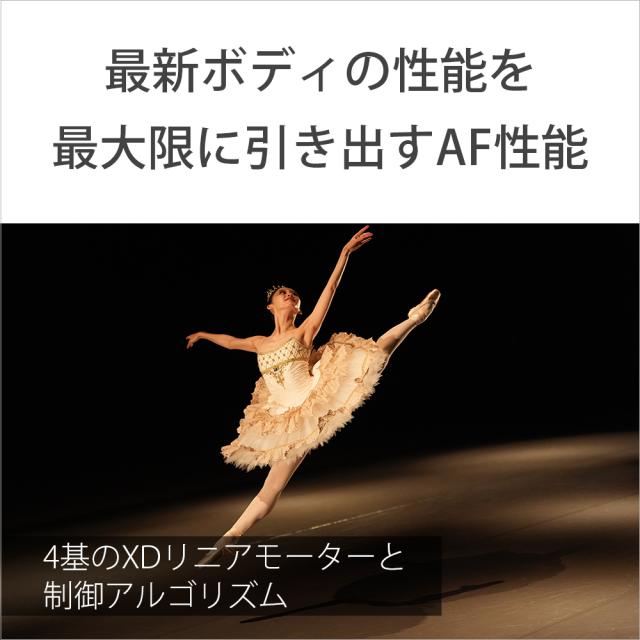 ソニー SEL2870GM FE 28-70mm F2 GM※Eマウント用レンズ（フルサイズミラーレス対応）[SEL2870GM] 返品種別A_4