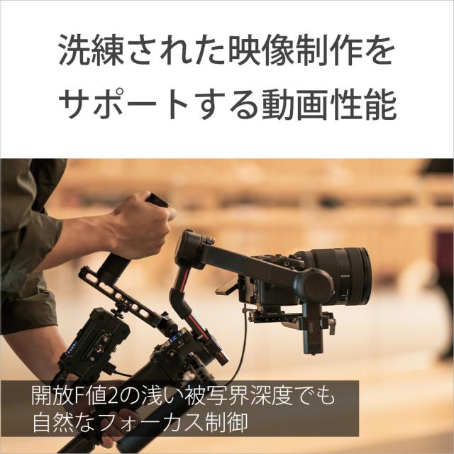 ソニー SEL2870GM FE 28-70mm F2 GM※Eマウント用レンズ（フルサイズミラーレス対応）[SEL2870GM] 返品種別A_5