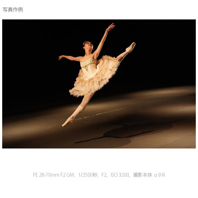 ソニー SEL2870GM FE 28-70mm F2 GM※Eマウント用レンズ（フルサイズミラーレス対応）[SEL2870GM] 返品種別A_7