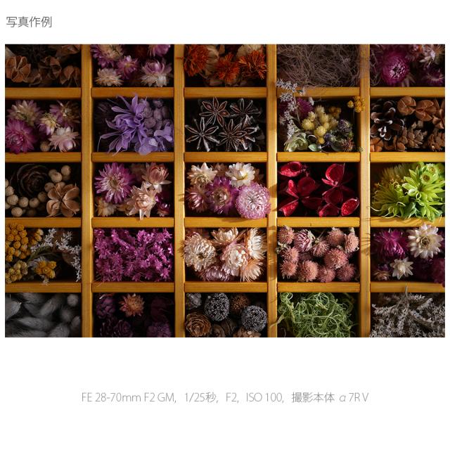 ソニー SEL2870GM FE 28-70mm F2 GM※Eマウント用レンズ（フルサイズミラーレス対応）[SEL2870GM] 返品種別A_8