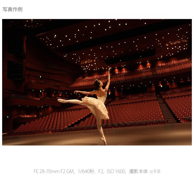 ソニー SEL2870GM FE 28-70mm F2 GM※Eマウント用レンズ（フルサイズミラーレス対応）[SEL2870GM] 返品種別A_10