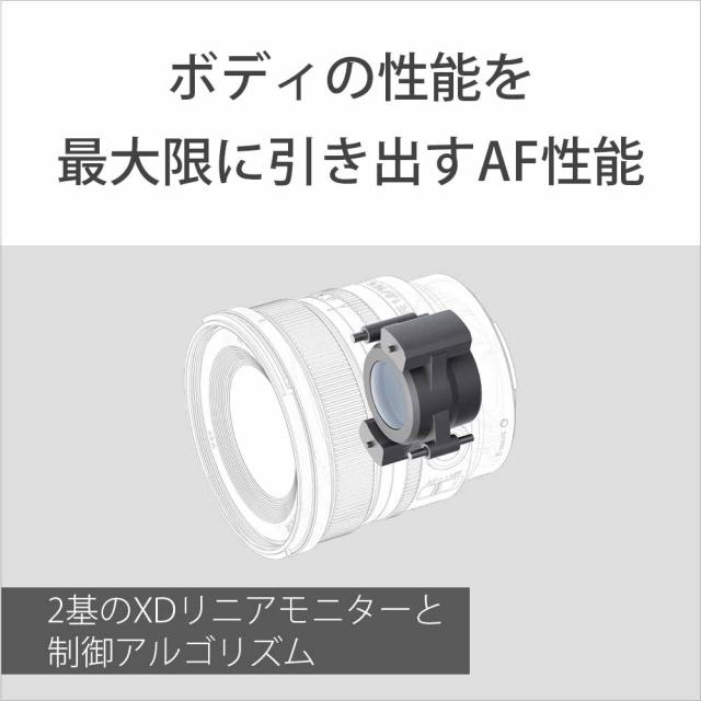 ソニー SEL16F18G FE 16mm F1.8 G※Eマウント用レンズ（フルサイズミラーレス対応）[SEL16F18G] 返品種別A_5
