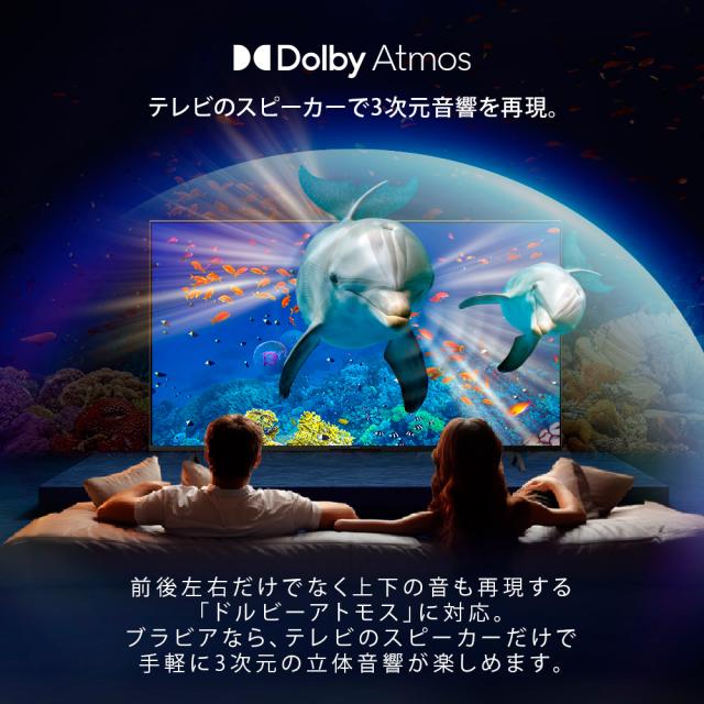 ソニー KJ-43X83L 43V型 液晶テレビ［BS・CS 4Kチューナー内蔵］SONY　BRAVIA（ブラビア）　X83Lシリーズ[KJ43X83L] 返品種別A_3